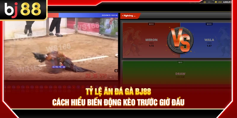 Tỷ Lệ Ăn Đá Gà BJ88 – Cách Hiểu Biến Động Kèo Trước Giờ Đấu