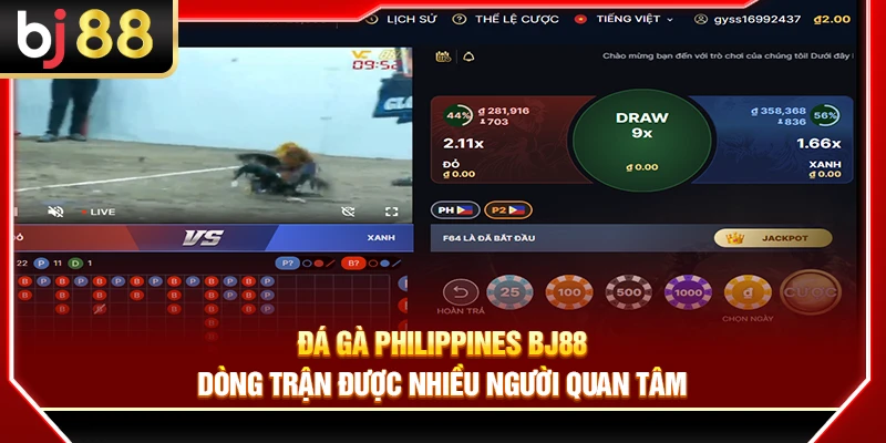 Đá Gà Philippines BJ88 – Dòng Trận Được Nhiều Người Quan Tâm