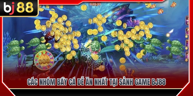 Top những nhóm bầy cá dễ ăn nhất