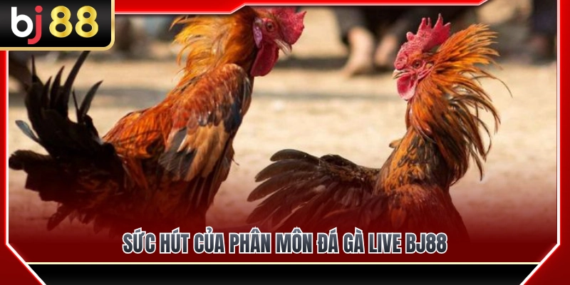 Giải mã sức hút mạnh mẽ của chuyên mục đá gà live BJ88 