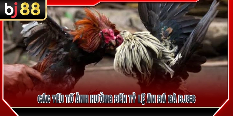 Những yếu tố quyết định sự thay đổi của tỷ lệ ăn đá gà BJ88 