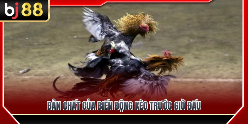 Bản chất sự biến động kèo ngay trước thời điểm trận đấu bắt đầu 