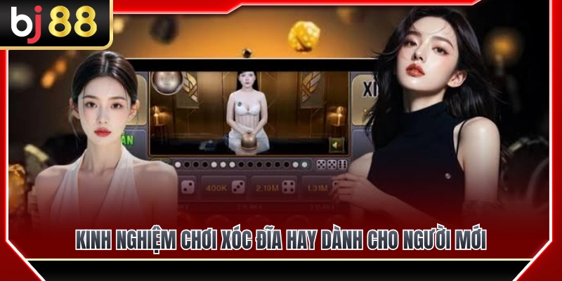 Mẹo chơi xóc đĩa hiệu quả giúp tân thủ nâng cao tỷ lệ thắng 